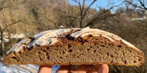 Sourdough with chestnut flour