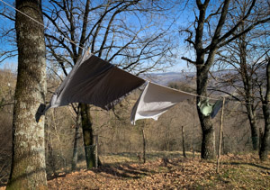 A good day for drying, Mrs. Bartolozzi